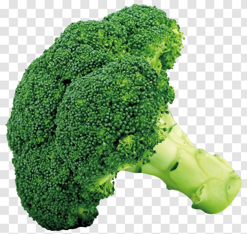 Broccoli Cruciferous Vegetables Cauliflower Cabbage - Tree - Picture Transparent PNG