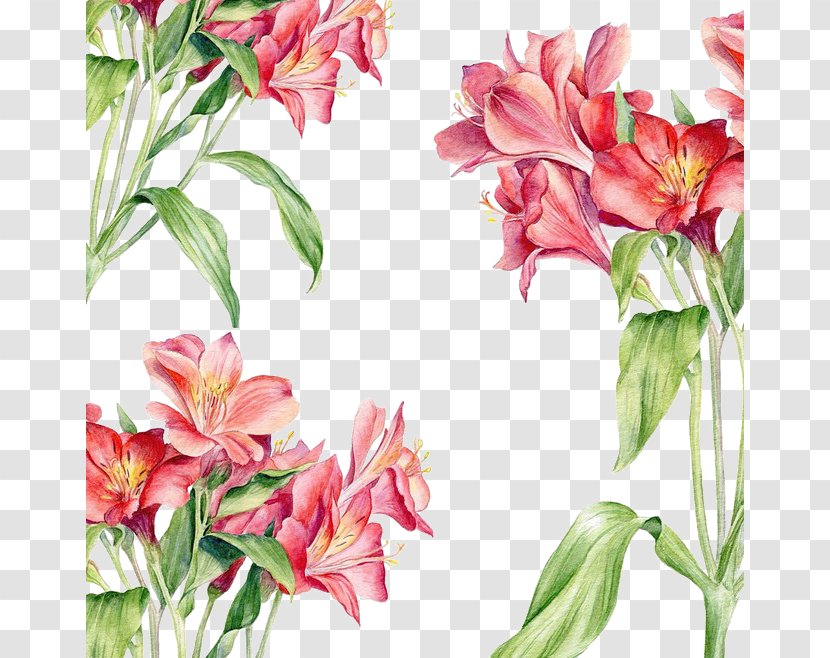 Watercolor Painting Drawing Illustration - Plant Stem - Red Flowers Background Transparent PNG