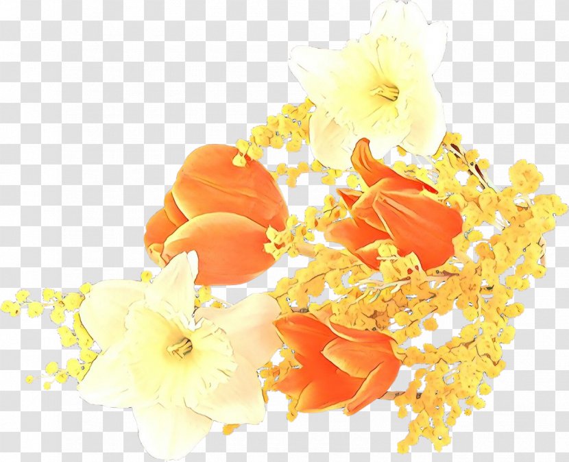 Orange - Cut Flowers - Petal Plant Transparent PNG