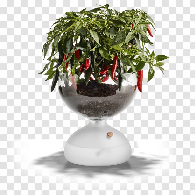Holmegaard Frosted Glass Flowerpot Greenhouse - Vase Transparent PNG
