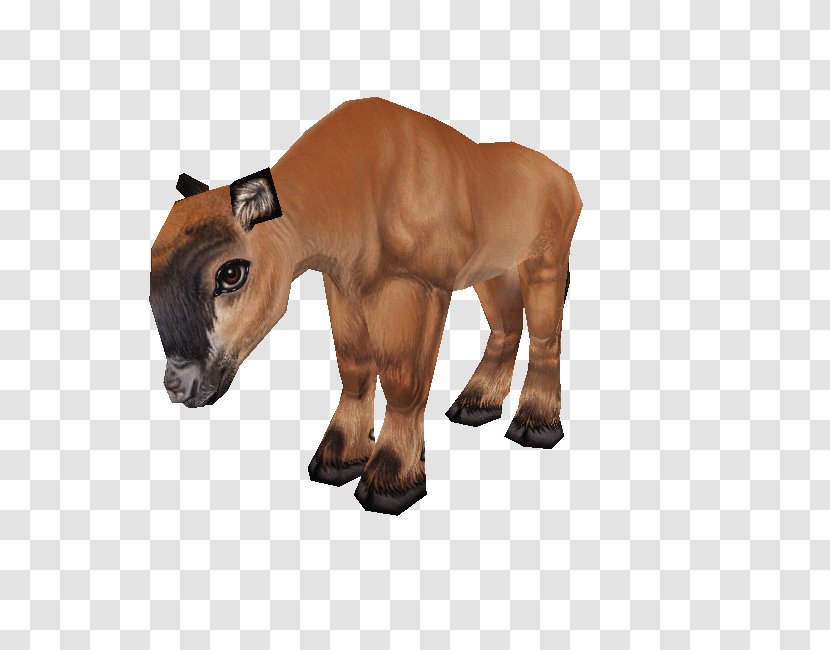 Mare Mustang Foal Stallion Halter - Yonni Meyer - Crowberry Zoo Tycoon Transparent PNG