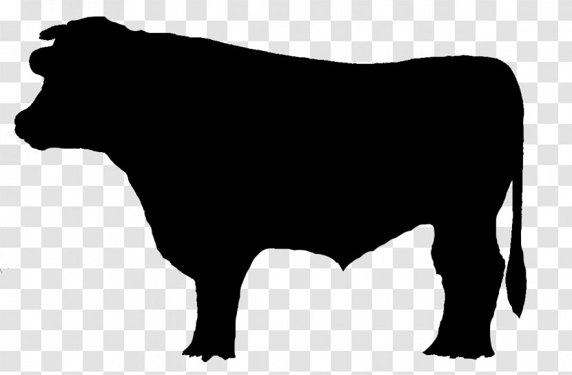 Dairy Cattle Bull Brangus Chophouse Restaurant Ox - Cow Transparent PNG