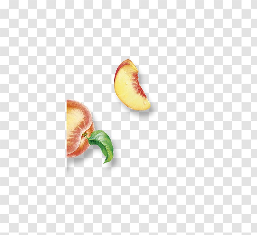 Apple - Fruit Transparent PNG