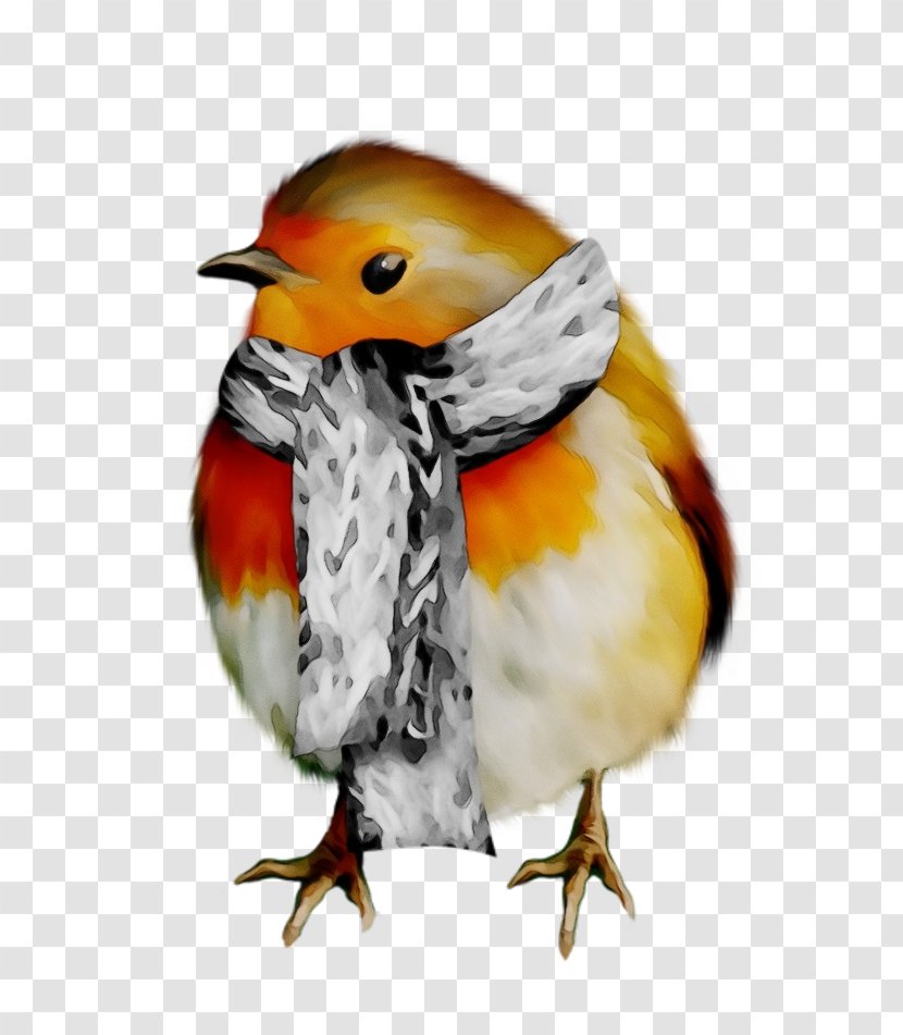 Bird European Robin Beak Old World Flycatcher Songbird - Wet Ink - Finch Perching Transparent PNG