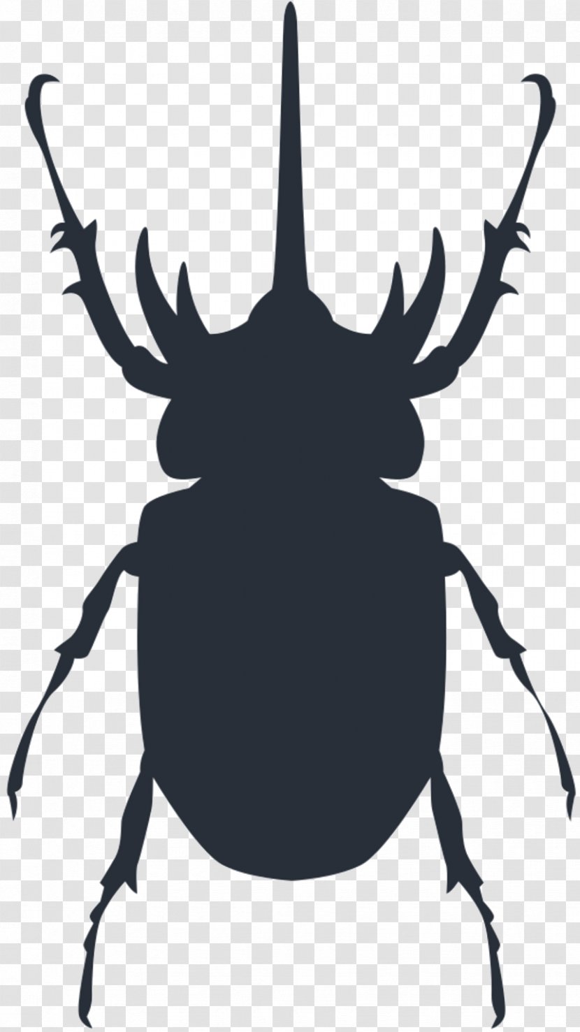 Clip Art Insect Black & White - Invertebrate - M Character Fiction Transparent PNG