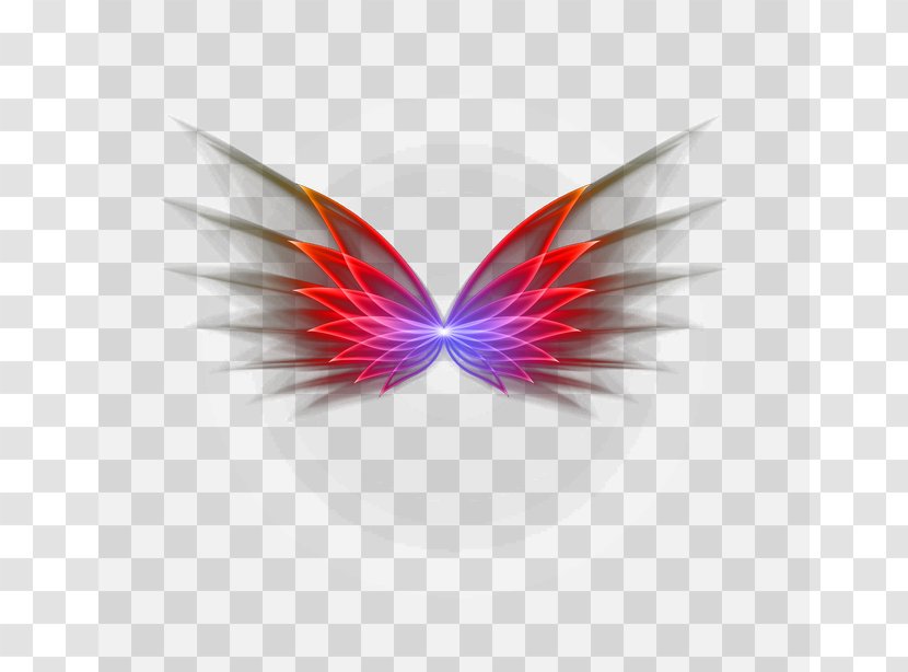 Butterfly Close-up Pattern - Closeup - Light Effect Transparent PNG
