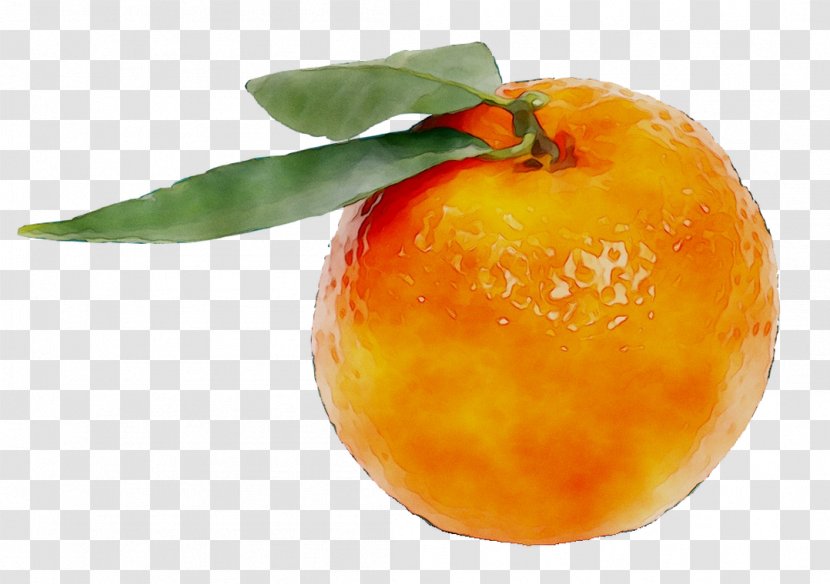 Diet Food Tangerine Mandarin Orange - Natural Foods - Plant Transparent PNG