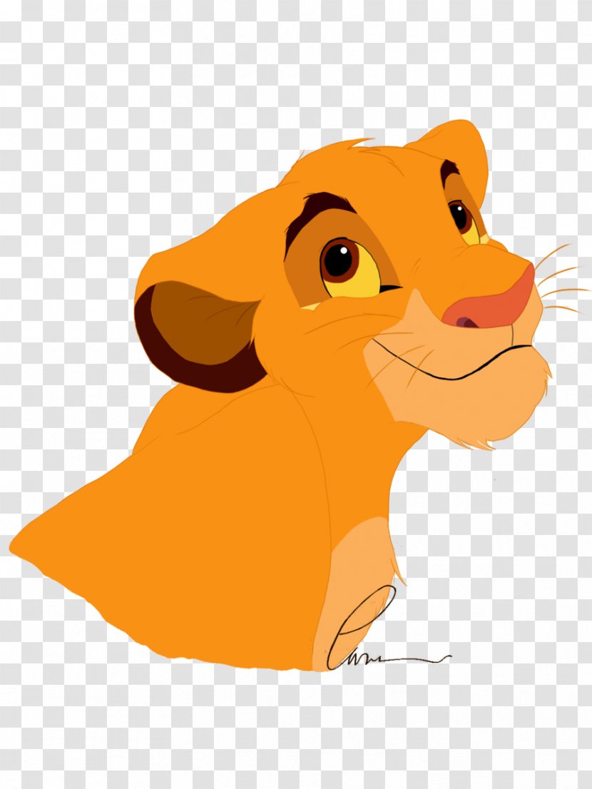 Simba Nala Rafiki Timon Lion - King Transparent PNG