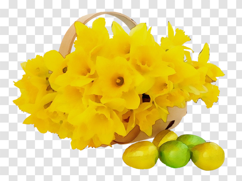Yellow Flower Plant Transparent PNG