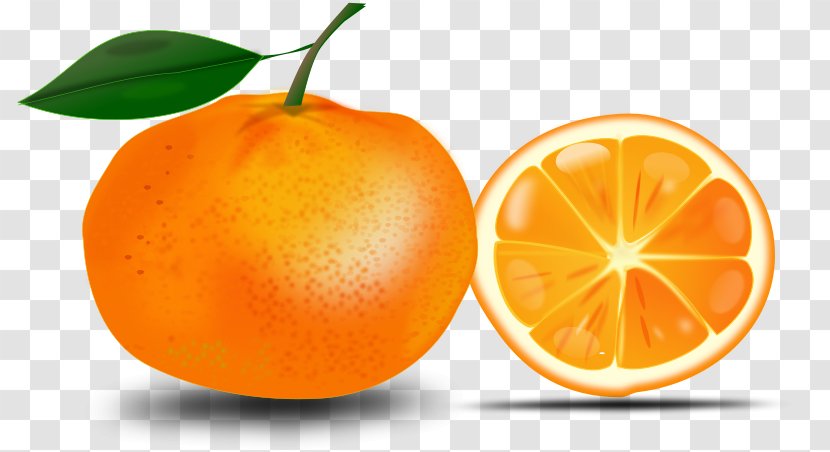 Orange Clip Art - Food - Es Buah Transparent PNG
