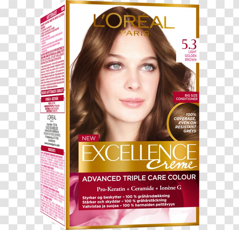 Hair Coloring LÓreal Care Garnier - Hairstyle Transparent PNG