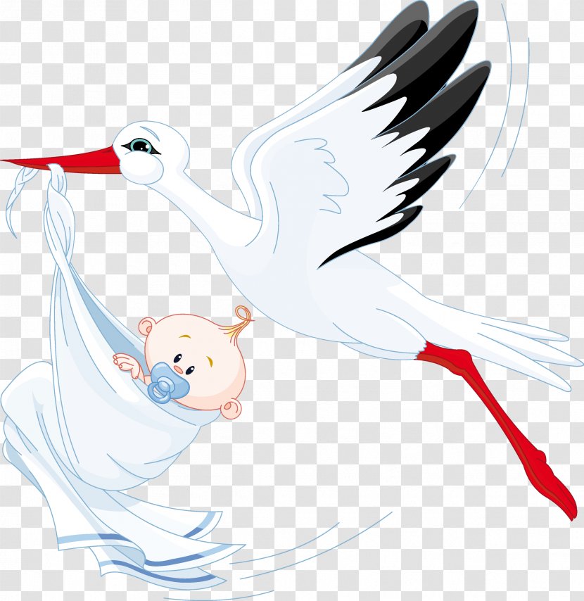 Stork Royalty-free Clip Art - Ciconiiformes - Pelican Transparent PNG