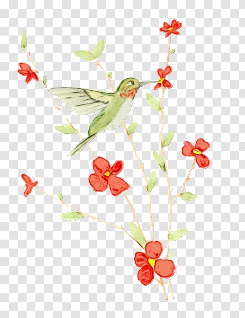 Watercolor Flower Background - Branch - Honeysuckle Wildflower Transparent PNG