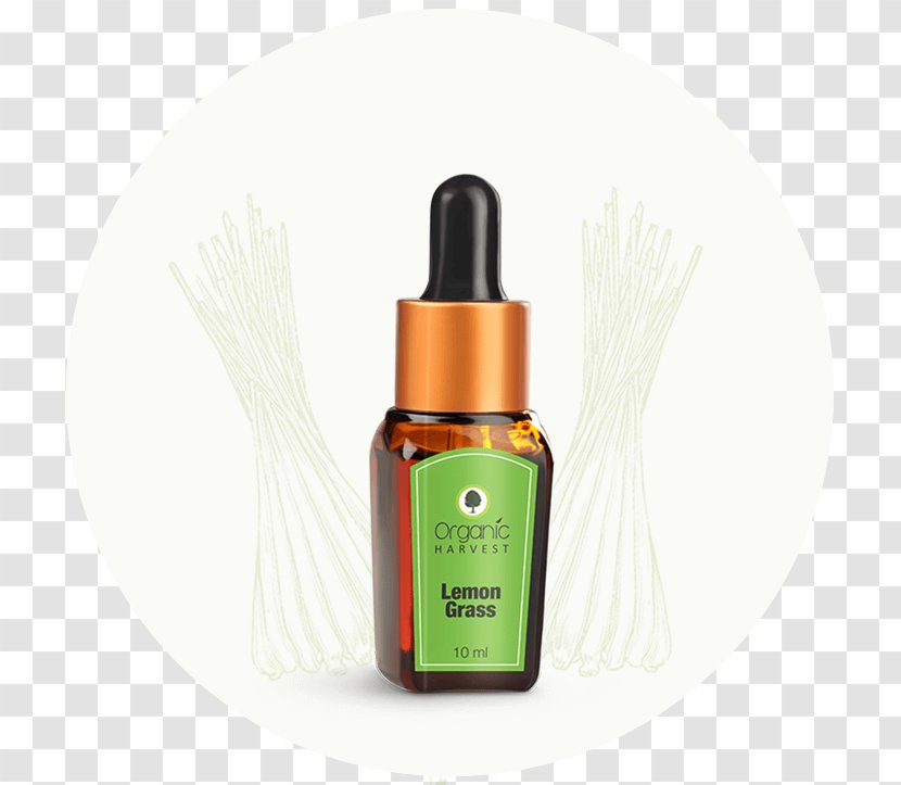 Organic Harvest LAVENDER Essential Oil 10 Ml Ayur Product In Combo Tea Tree Orange - Lemon Watercolor Transparent PNG