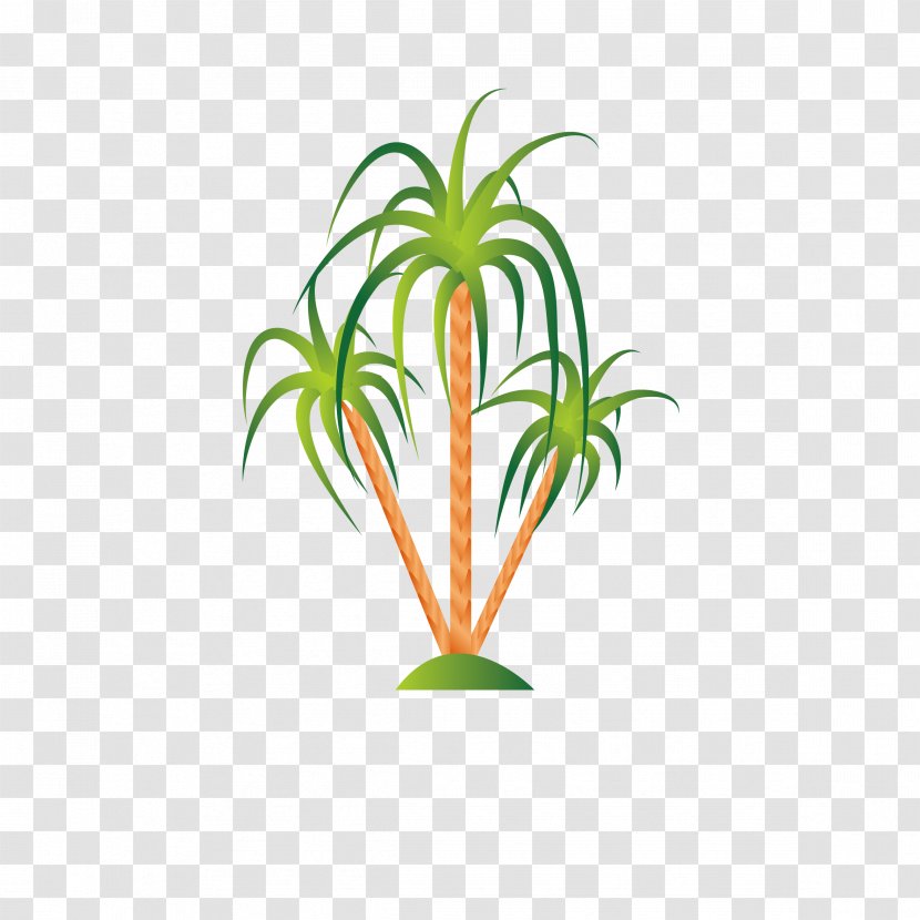 Illustration - Grass - Tropical Plants Transparent PNG