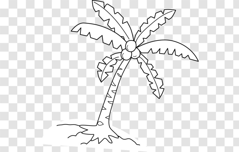 Coloring Book Coconut Arecaceae Tree Drawing - Homo Sapiens - Leaves Material Transparent PNG