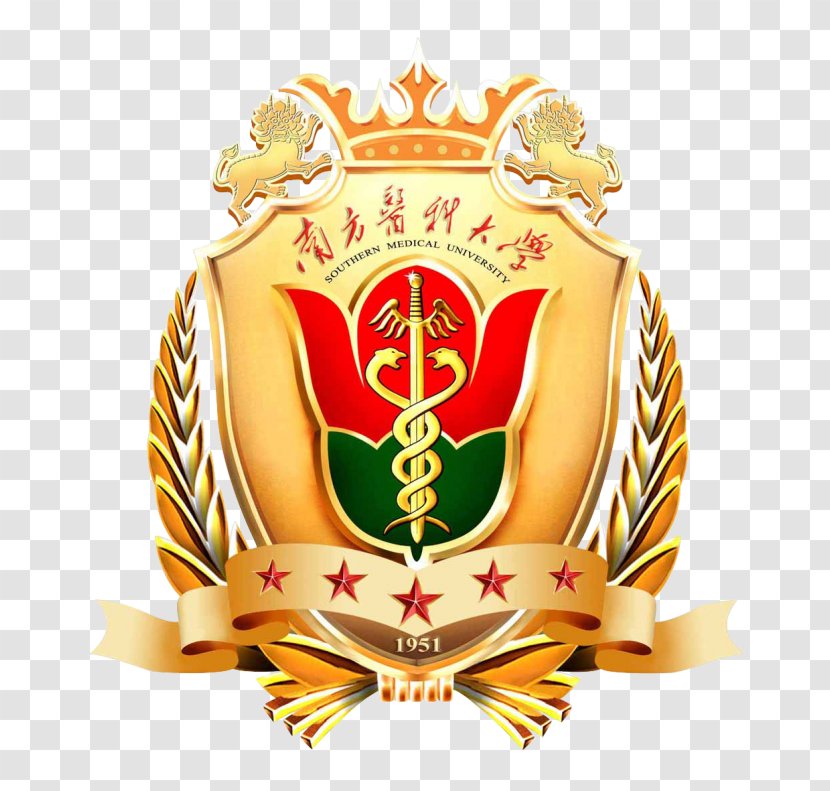 Southern Medical University Hebei School Graduate - Research Student Transparent PNG