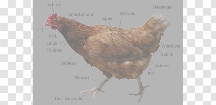 Rooster Chicken SP Gadgets Customisable Storage MyCase GoPro Action Camera - Beak Transparent PNG