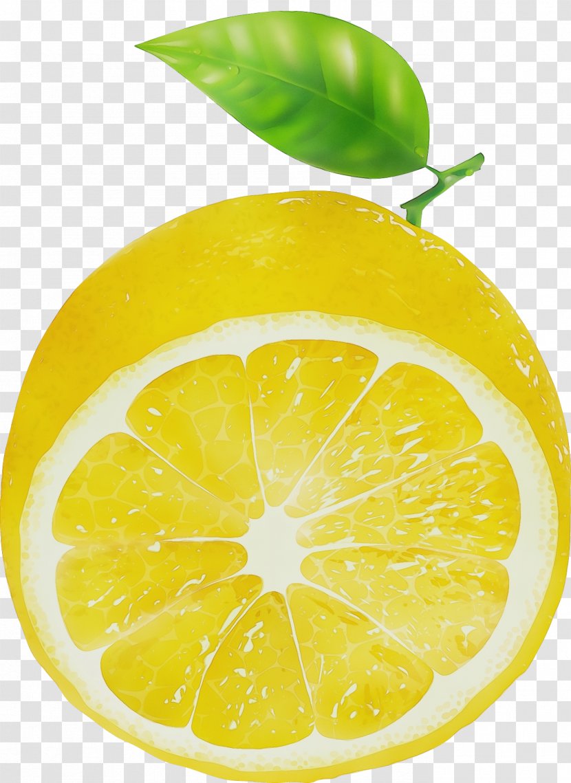 Watercolor Natural - Yuzu - Lemon Peel Pomelo Transparent PNG