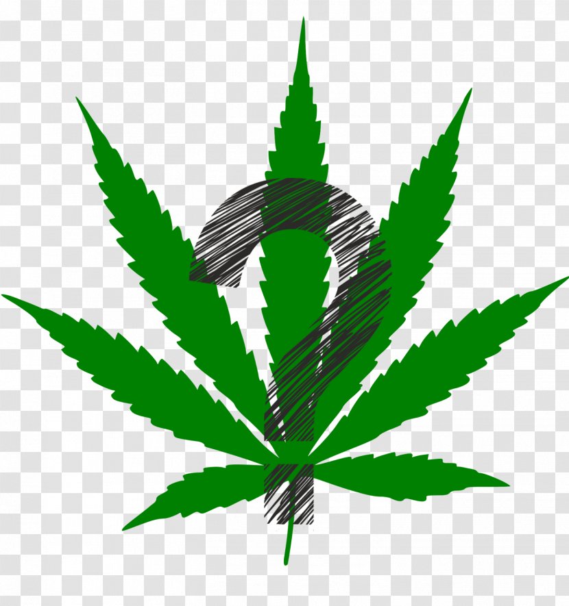 Cannabis Sativa Hemp Ruderalis Medical - Tetrahydrocannabinol Transparent PNG