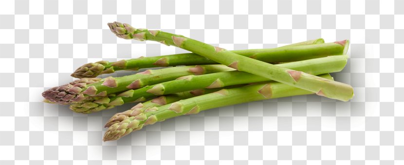 Asparagus Leaf Vegetable Food Green Bean - Garden - Ginger Garlic Transparent PNG
