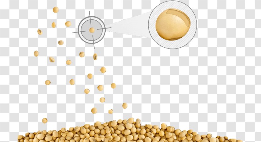 Soy Milk Vegetarian Cuisine Soybean Oil Commodity Product - Silhouette - Roundup Ready Soybeans Transparent PNG