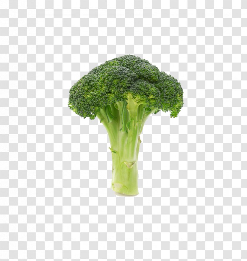 Broccoli Vegetable Icon - Brassica Oleracea Transparent PNG