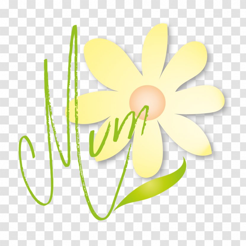 Cut Flowers Floral Design Plant Stem - Yellow - Mother's Day Transparent PNG