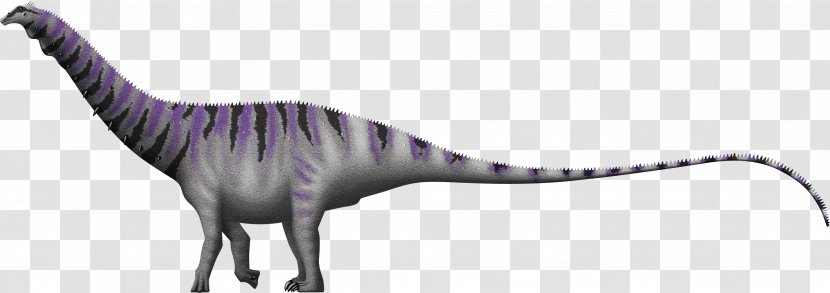 Brontosaurus Apatosaurus Kimmeridgian Diplodocoidea Dinosaur - Sauropodomorpha Transparent PNG