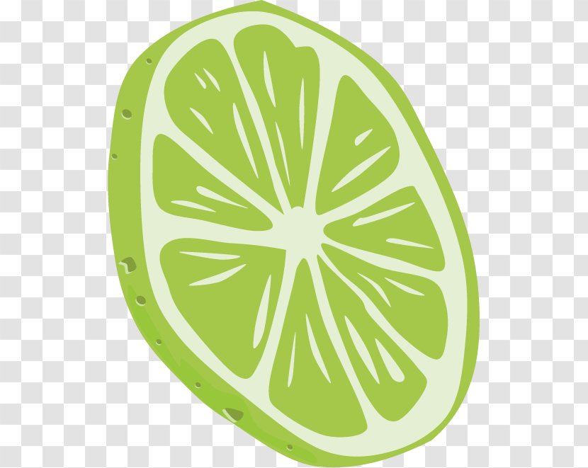 Lemon Key Lime Pie Clip Art - Calamondin - Vector Green Slices Transparent PNG