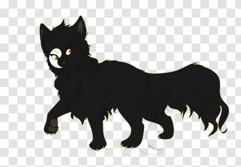 Black Cat Whiskers Dog Fur - Snout Transparent PNG