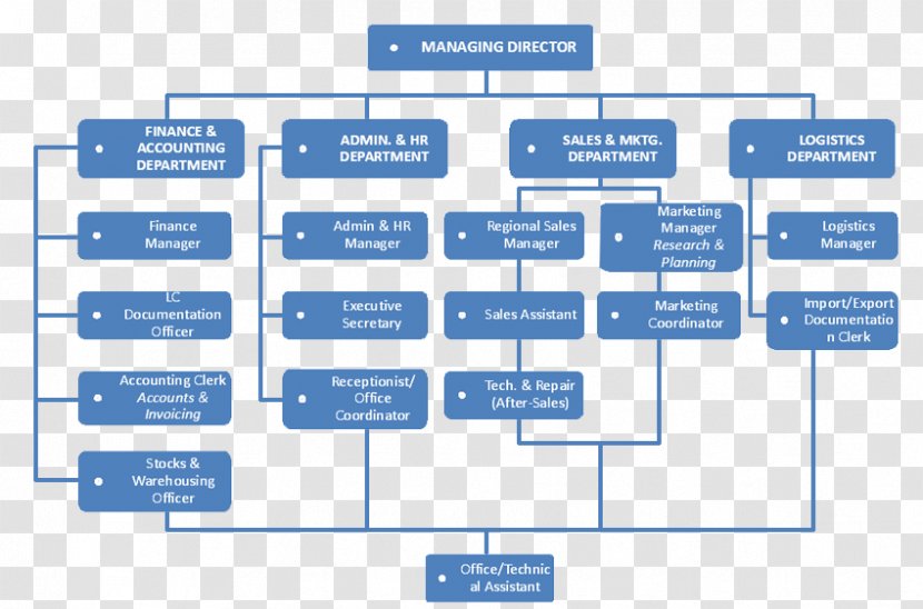 Organizational Chart Structure Management Business Transparent PNG