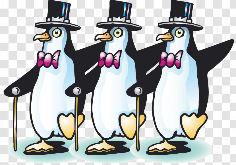 Penguin Razorbills Cartoon Beak - Little Transparent PNG
