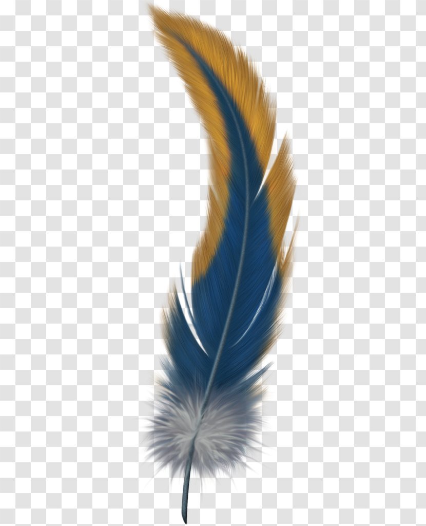 Bird Flight Feather Clip Art - Heart - Watercolor Transparent PNG