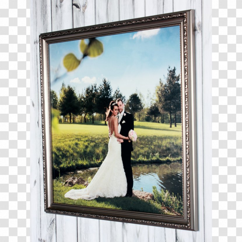 Window Picture Frames Wedding Bride - Painting Transparent PNG