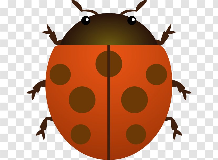 Ladybird Beetle Clip Art - Membrane Winged Insect Transparent PNG