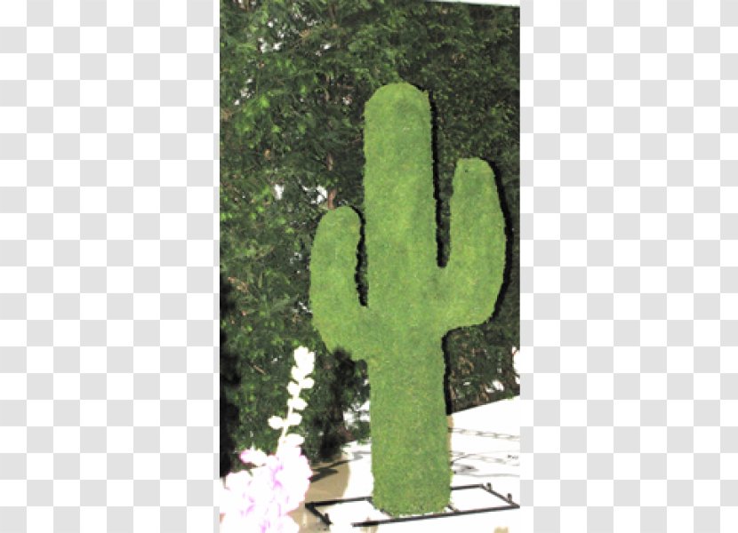 Wire Sculpture Ornament Garden Vase Gazebo - Golf - Cactus Border Transparent PNG