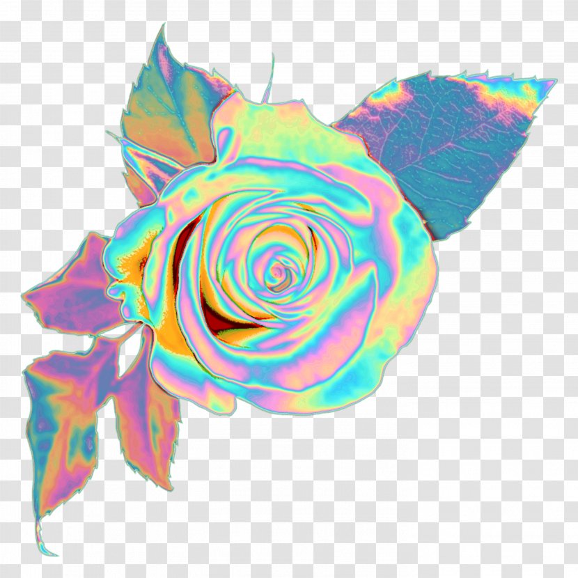 Rose Clip Art Pink Flowers Image - Blue Transparent PNG