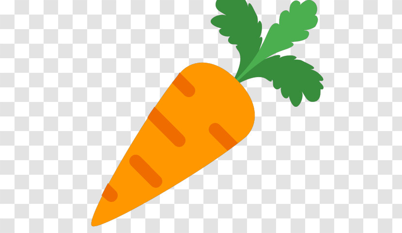 Carrot Root Vegetable Vegetable Leaf Daikon Transparent PNG