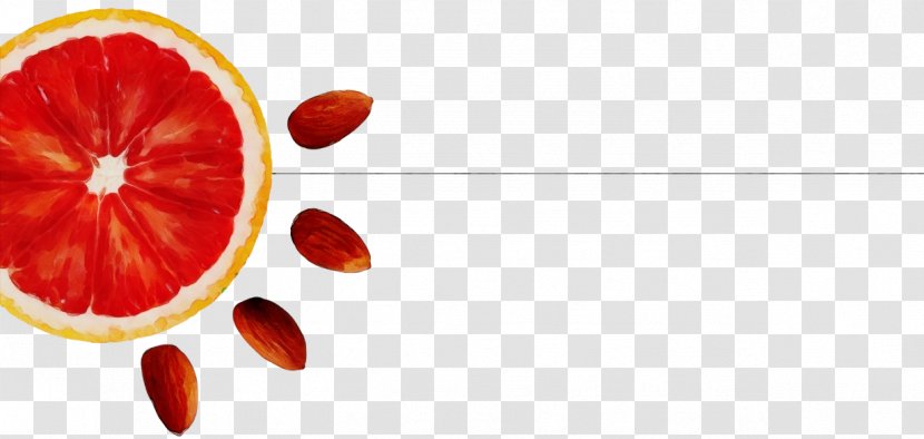 Orange - Superfruit - Kumquat Food Transparent PNG