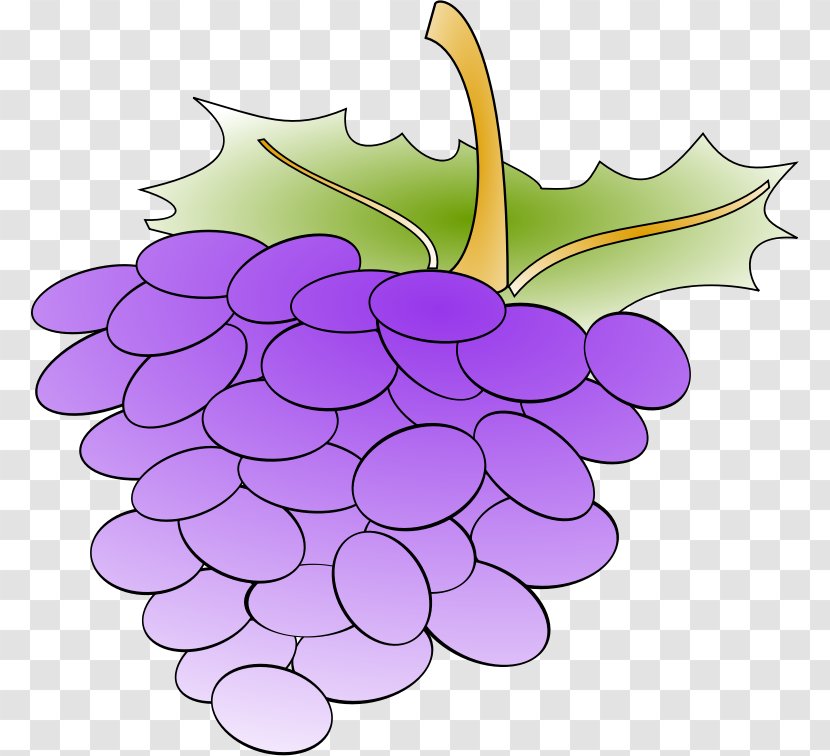 Common Grape Vine Wine Leaves Clip Art - Anonymous Transparent PNG