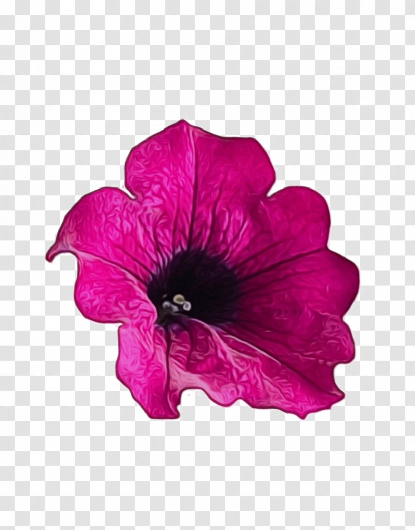 Petal Flower Pink Violet Petunia - Wet Ink - Flowering Plant Magenta Transparent PNG