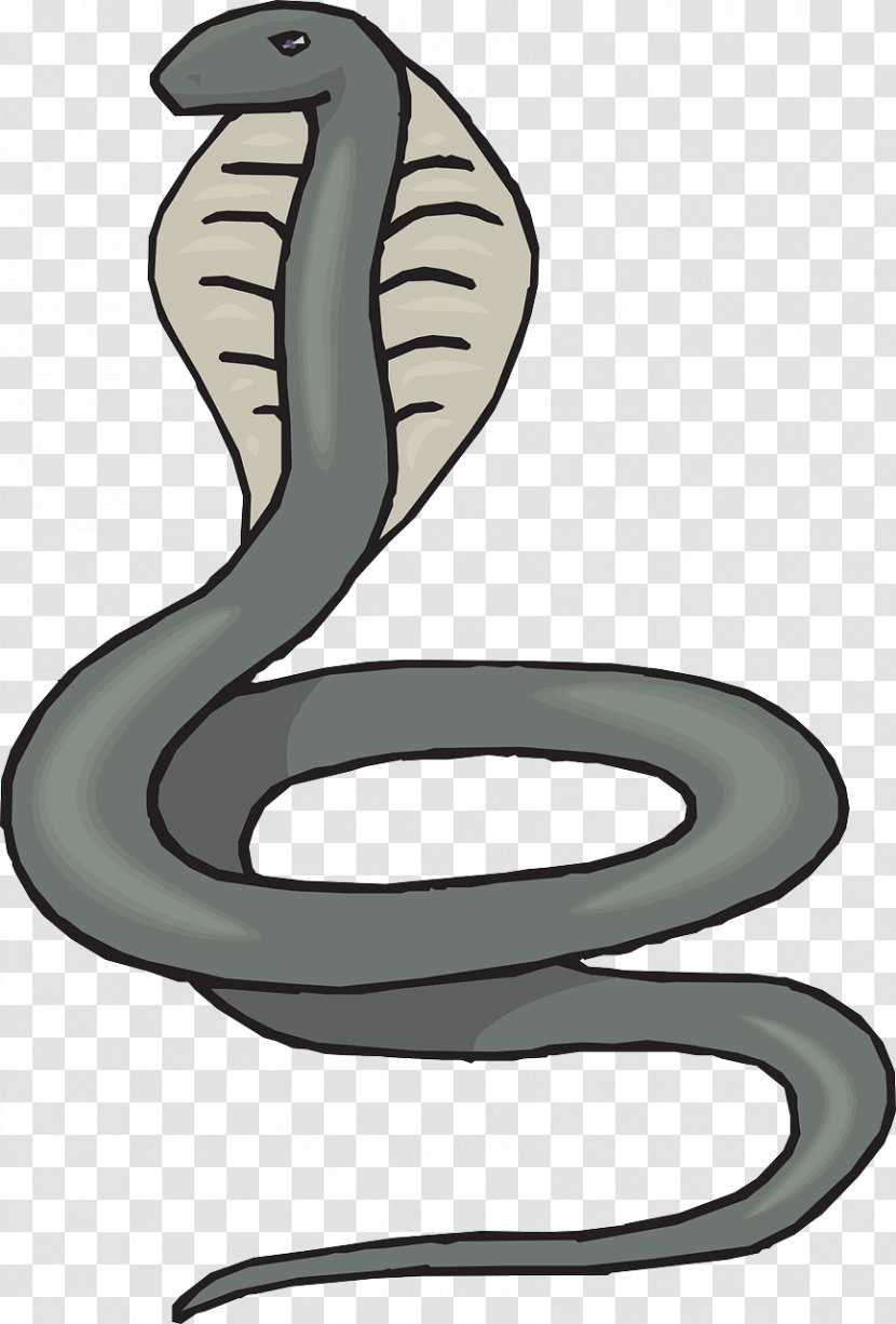 Snake Cartoon - Cobra - Viper Animal Figure Transparent PNG