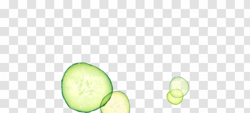 Melon Fruit Wallpaper - Green - Cucumber Slices Transparent PNG