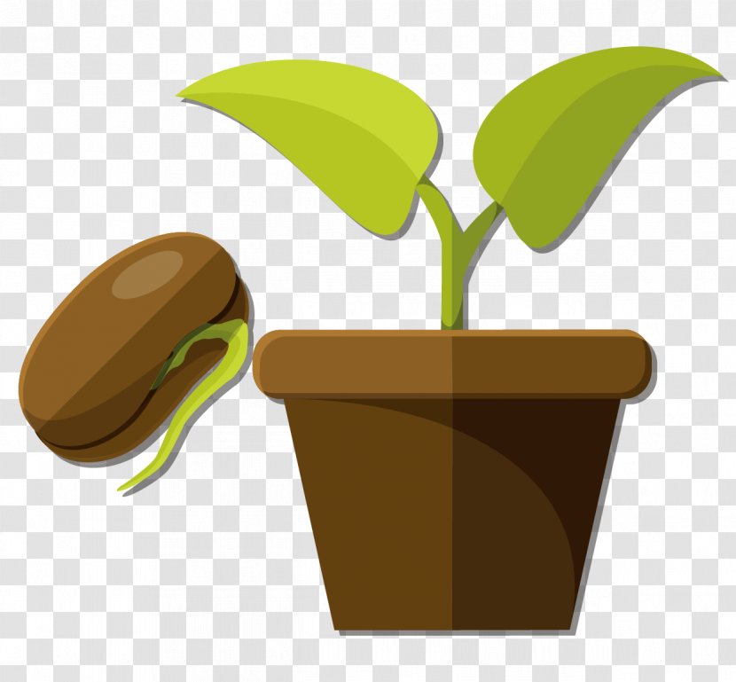 Snow Pea Flowerpot Seed - Seeds And Potted Plants Vector Material Transparent PNG