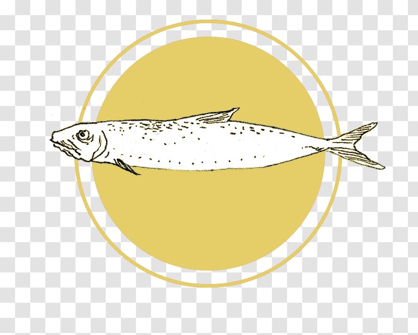 Sardine Oily Fish Mackerel Spoon Lure Herring - Fauna - Forage Transparent PNG