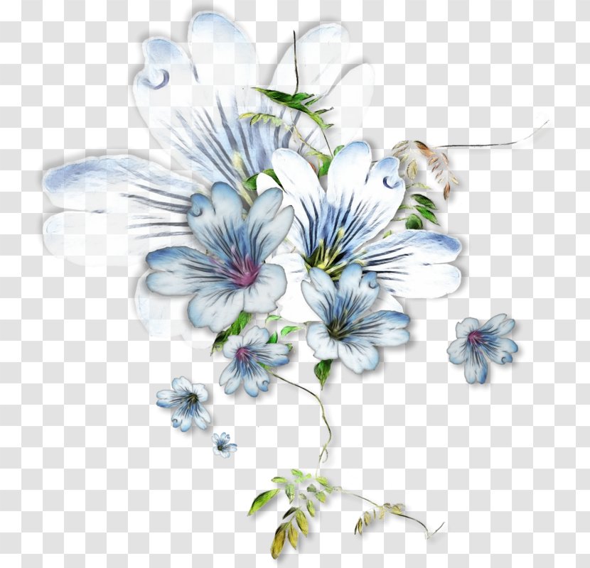 Spring Element - Floristry - Flower Transparent PNG
