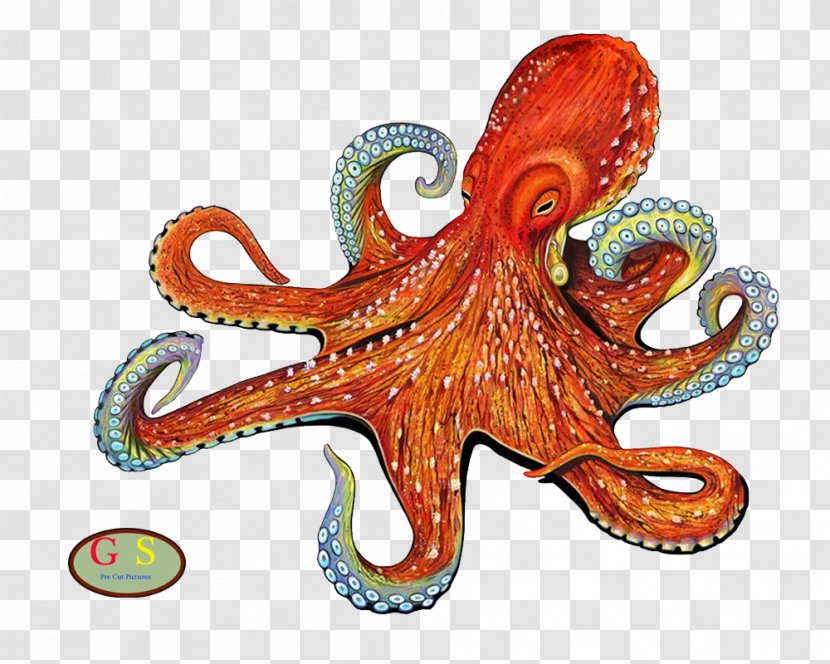 Enteroctopus Dofleini Drawing Painting Mosaic - Octopus Transparent PNG