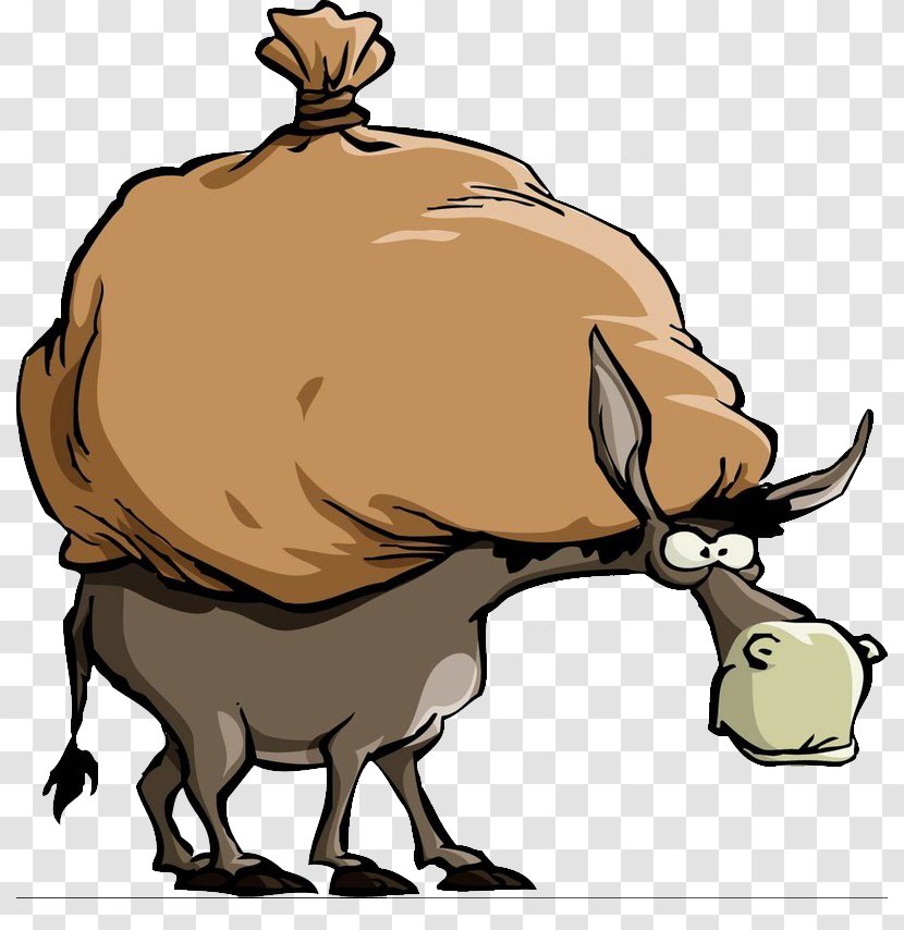 Mule Cartoon Donkey Clip Art - Mammal Transparent PNG