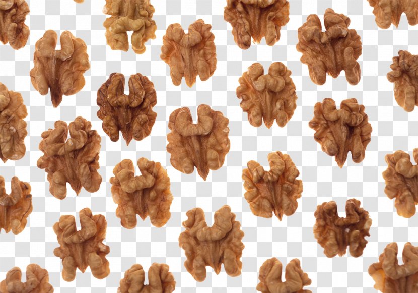 Walnut Dried Fruit Wallpaper - Food - Many Small Walnuts Transparent PNG